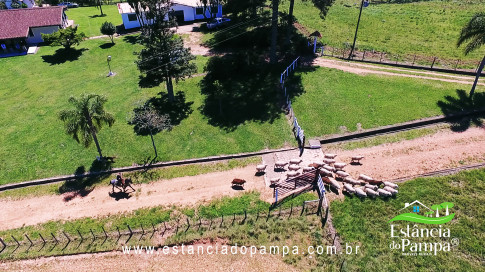 VAI ATE MANGUEIRA OVELHAS.00_02_51_10.Quadro037_7609a75fdc6bbaa9a528663389171daf26cc751e.jpg